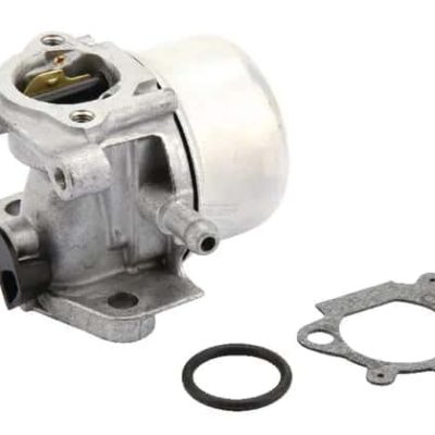 Briggs 799871 Carburateur
