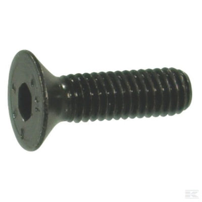 verzonken binnenzeskant M8x25