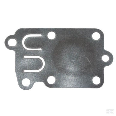 Briggs membraan 272538S