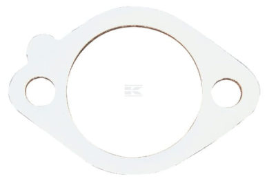 Briggs INLAATDICHTING 272296