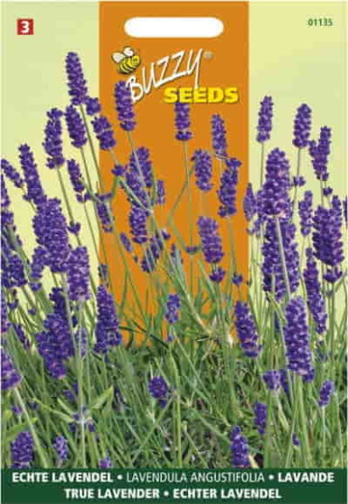 01135 echte lavendel