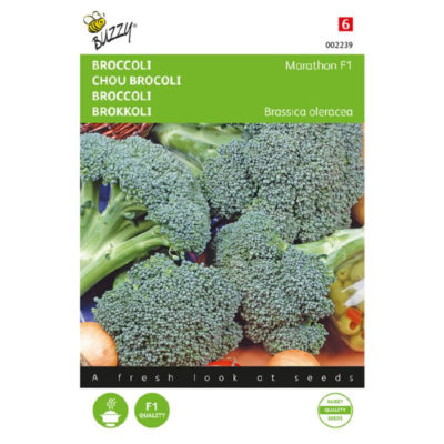 Broccoli Zaden - Southern Comet F1 Hybride