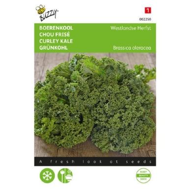 002250 Boerenkool Westlandse Herfst