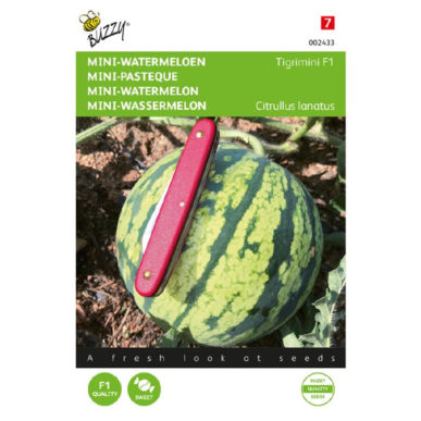 Mini Watermeloen Zaden - Tigrimini F1
