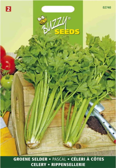 002740 groene selder pascal