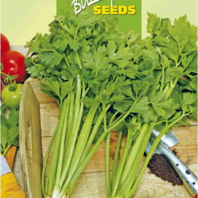 002740 groene selder pascal