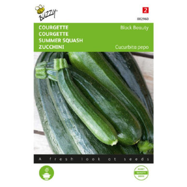 002960 zucchini black beayty
