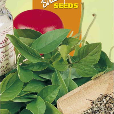 01010 basilicum fijnbladige