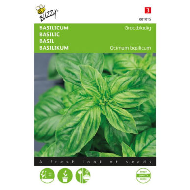 01015 basilicum grootbladig sweet basil