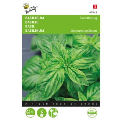 01015 basilicum grootbladig sweet basil