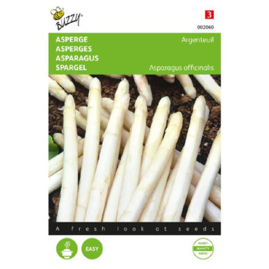Asperge Argenteuil Asperge Zaden - Argenteuil