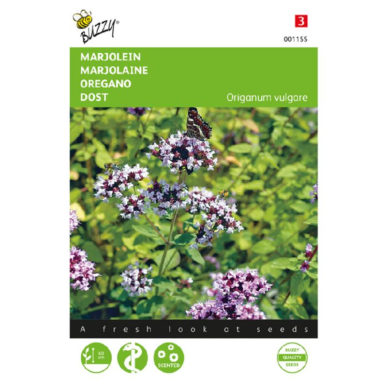 001155 Marjolein Oregano