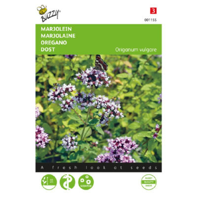 001155 Marjolein Oregano 001155 Marjolein Oregano
