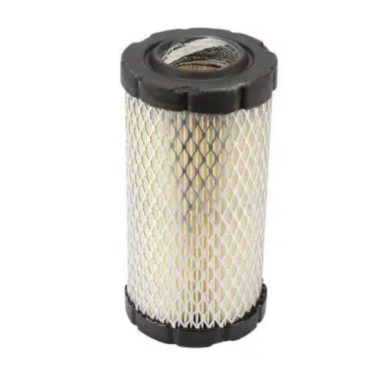 BRIGGS Luchtfilter 793569, GY21055, MIU11511