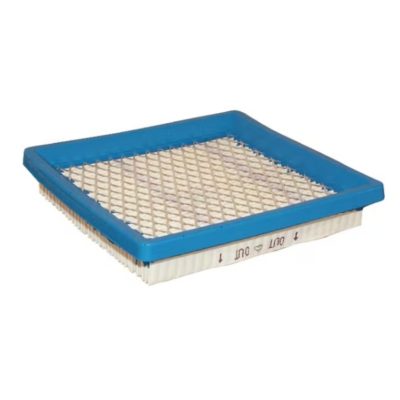 Briggs 399877S Luchtfilter