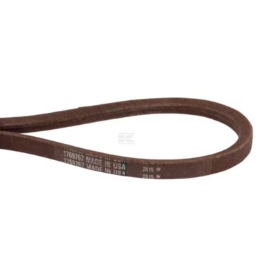 V-snaar MTD 1769767