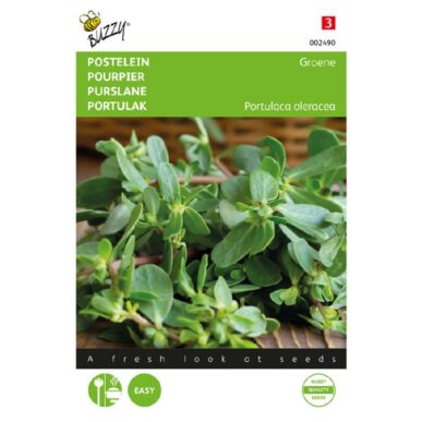 002490 postelein Postelein zaden buzzy seeds
