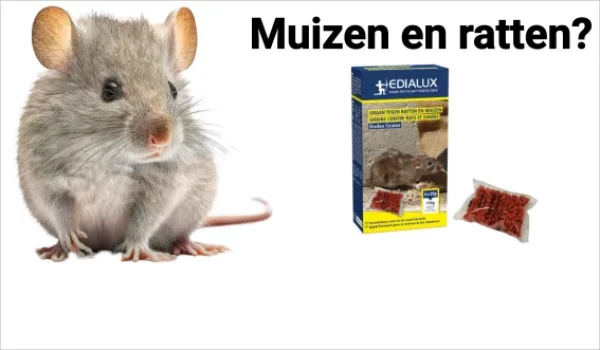muizen-en-ratten